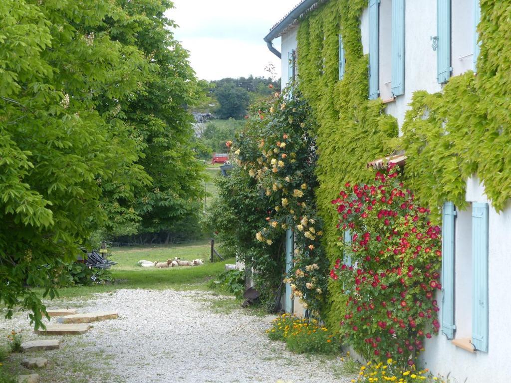 La Ferme Du Petit Segries Bed And Breakfast Moustiers-Sainte-Marie Kültér fotó